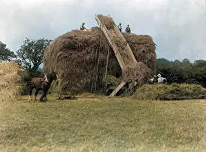 MAKING A HAYSTACK