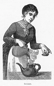 Infusion: MAKING INFUSION C1880