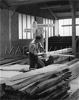 Directional: MAKING SIGNPOSTS/MUSTO