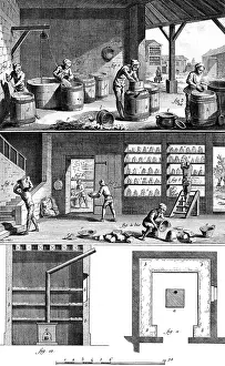 Cereals: MAKING STARCH 18TH FRANC