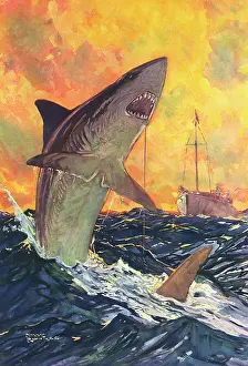 Mako: A Mako Shark Hooked