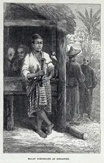 Vendor: Malay Birdseller