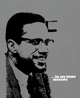 Assassin: Malcolm X...By Any Means Necessary