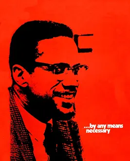Assassin: Malcolm X...By Any Means Necessary