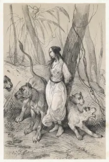 Gratitude: Maldonata and the Lion