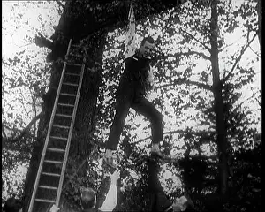 Clings: Male Civilian Clings to a Tree After Falling