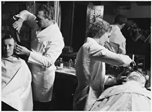 Shaves: MALE & FEMALE BARBERS