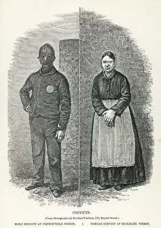 Millbank: Male and Female Convicts