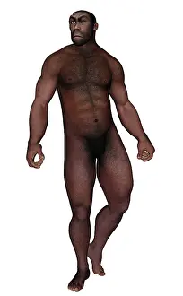 Ancestor: Male homo erectus looking aside