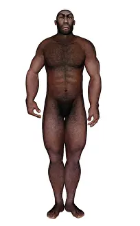 Ancestor: Male homo erectus standing
