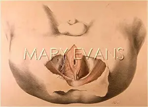 Anal: MALE PERINAEUM/1867