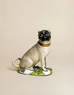 Strolling: Male pug dog