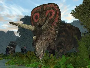 Torosaurus: A male Torosaurus drinks from a river