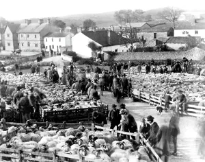 Malham: Malham, a Sheep Sale on the Green c1910