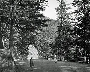 Simla: Mall Road, Simla (Shimla), India