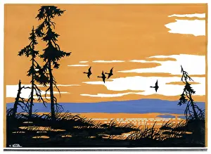 The Medici Society Ltd.: Mallards in Flight