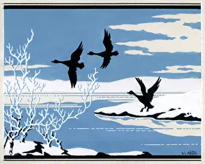 Mallards: Mallards over water
