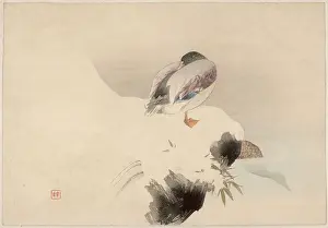Peers: Mallards by a wintry lake