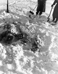 Bulge: Malmedy Massacre, 1944