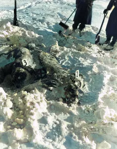 Ardennes: Malmedy Massacre, 1944