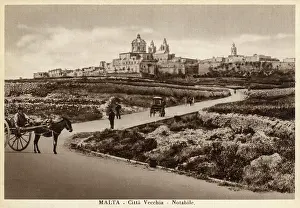 Citta: Malta - View of Mdina (Citta Vecchia or Citta Notabile)