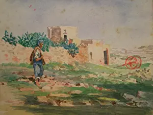 Maltese: Maltese Man