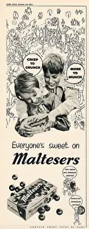 Honeycomb: Maltesers advertisement