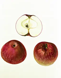 Flamed: Apple
