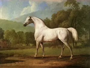 Equines: Mambrino, by Stubbs