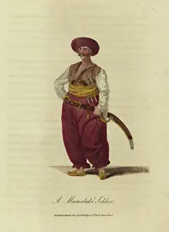 Mamaluke: Mameluke soldier
