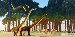 Puddle: Mamenchisaurus and Dicraeosaurus dinosaurs drink from a pond