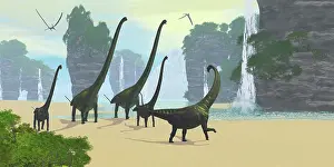 Pteranodon: A Mamenchisaurus dinosaur herd grazing along a lake