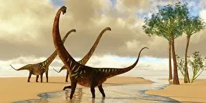 Flowing: Mamenchisaurus dinosaurs play in a stream