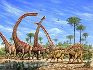 Puddle: Mamenchisaurus herd and a pair of Huayangosaurus