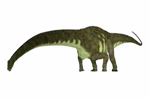 Thick: Mamenchisaurus hochuanensis, side profile eating