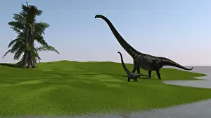 Offspring: Mamenchisaurus and her offspring walking across an open ?