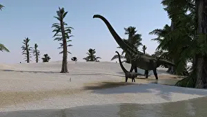 Diplodocid: Mamenchisaurus and her offspring walking a prehistoric ?