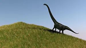 Mamenchisaurus: Mamenchisaurus in an open field