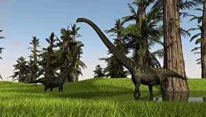 Mamenchisaurus: Two Mamenchisaurus in swampy water