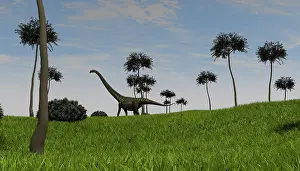 Mamenchisaurus: Mamenchisaurus walking across a grassy field