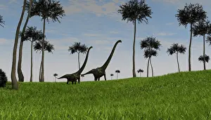 Mamenchisaurus: Two Mamenchisaurus walking across a grassy field