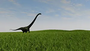 Mamenchisaurus: Mamenchisaurus walking across a grassy field