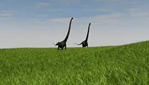 Mamenchisaurus: Two Mamenchisaurus walking across a grassy field