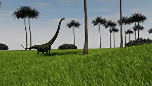 Mamenchisaurus: Mamenchisaurus walking across a grassy field