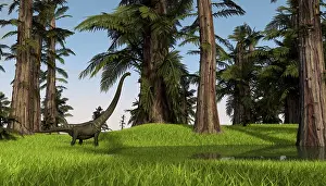 Mamenchisaurus: Mamenchisaurus walking along a nearby swamp