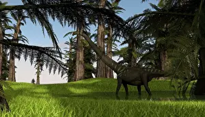 Mamenchisaurus: Mamenchisaurus walking through swampy water