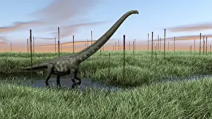 Cattail: Mamenchisaurus walking through wetlands