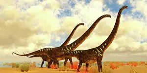Lakeside: Mamenchisaurus youngi dinosaurs lakeside during