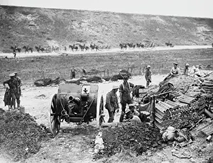 Mametz: Mametz 1916
