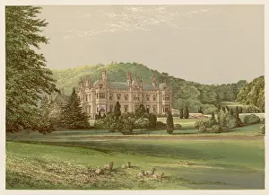 Lawns: MAMHEAD, DEVON